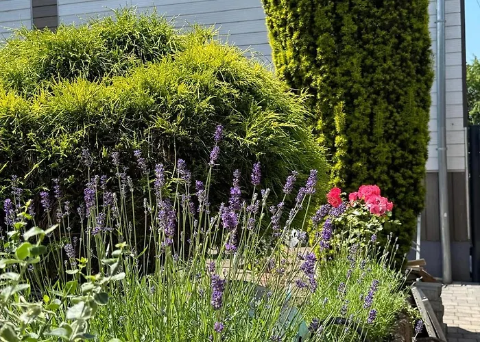 Auf Der Drossel Gevelsberg